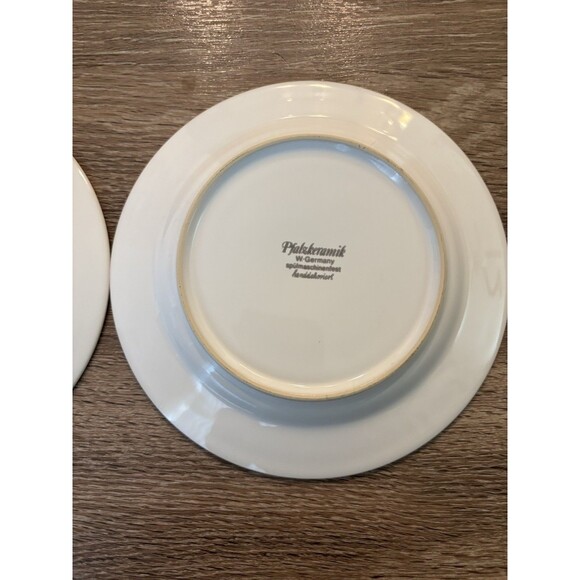 VTG Pfalzkeramik Inzell Streublumen 2 Mugs And Saucers Scattered Flowers German - Picture 9 of 11